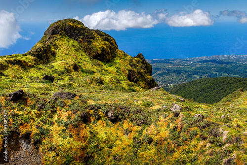 Multicolored vegetation at the summit of La Soufrière volcano on the island of Guadeloupe in the French West Indies photo