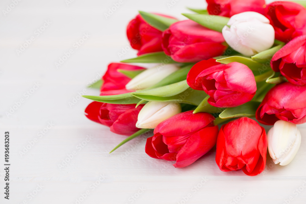 Fototapeta premium Springt time. Red tulip bouquet on the white wooden background.