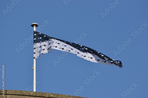 Drapeau de Bretagne flôttant sur le château de Nantes photo