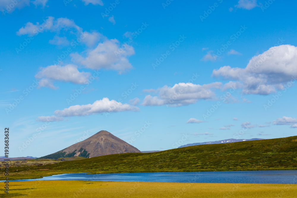 Fototapeta premium Iceland, green landscape. Europe