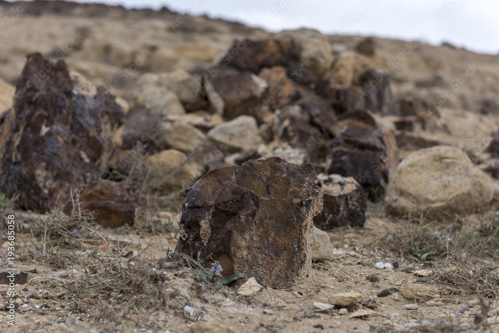 Fototapeta premium rocks in the desert