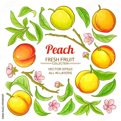 peach elements vector set