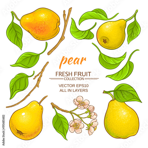 pear elements set