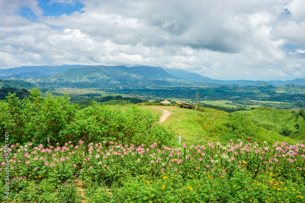 Mountain view with flower garden on mountaintop. The location in Khao Kho District, Phetchabun, Thailand, Southeast Asia.