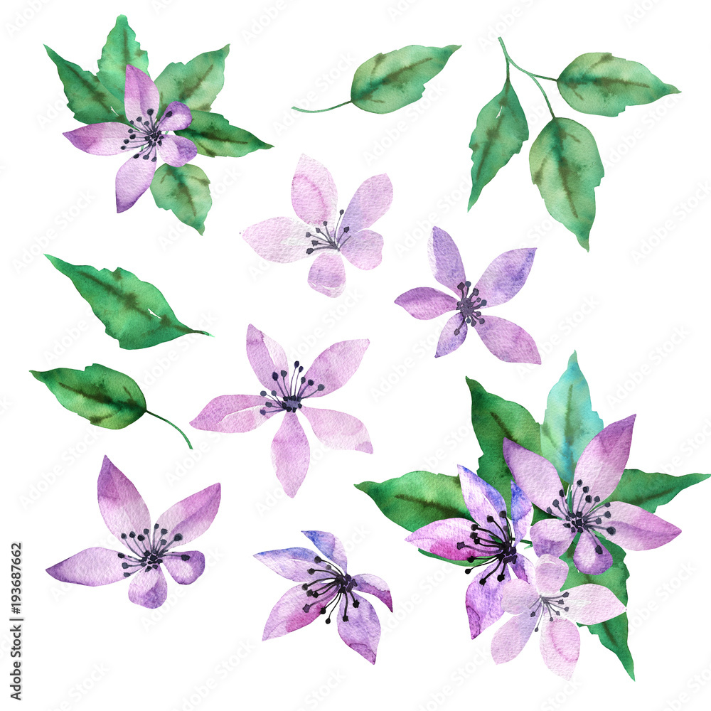 Spring design set with purple and blue flowers and green leaves in hand drawn watercolor style. Isolated on white background