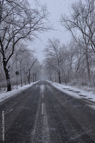 Schneebedeckte Straße