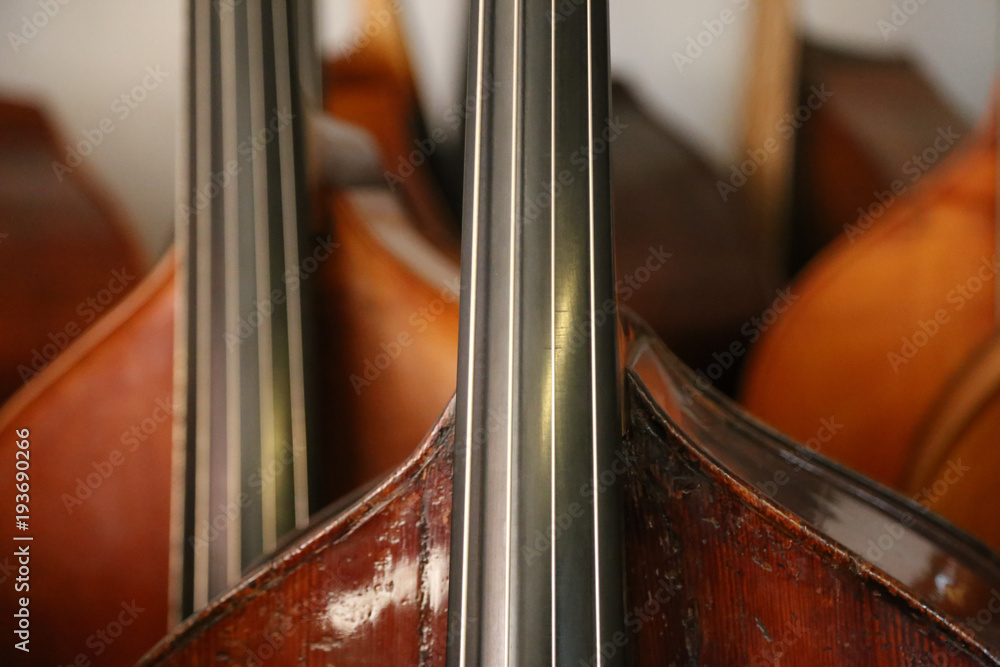 Many double basses at the luthier instrument maker's, musical background Many double basses at the luthier instrument maker's, musical background