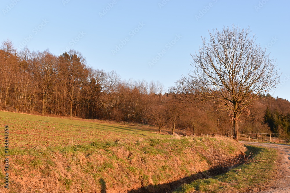 Beautiful landscape in winter on a sunny day in Melsungen near Kassel, Germany Beautiful landscape in winter on a sunny day in Melsungen near Kassel, Germany