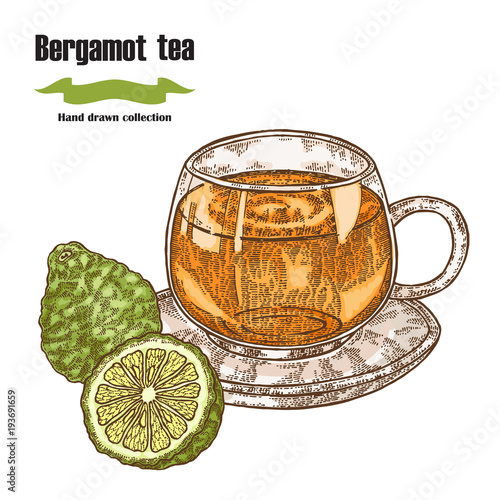 Bergamot fruits and cup of tea isolated on white background. Hand drawn art. Vector illustration