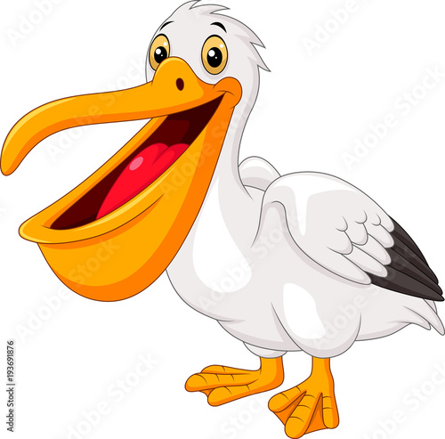 Cartoon pelican isolated on white background