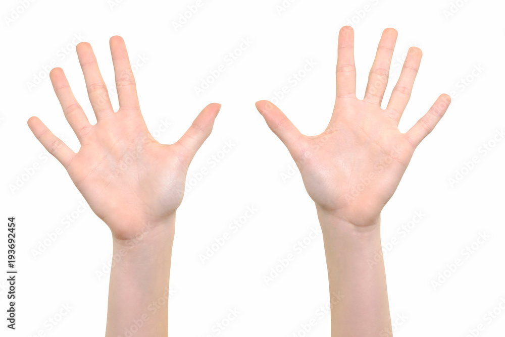 Caucasian white girl is showing her hands with open palms on a white background in close-up Caucasian white girl is showing her hands with open palms on a white background in close-up