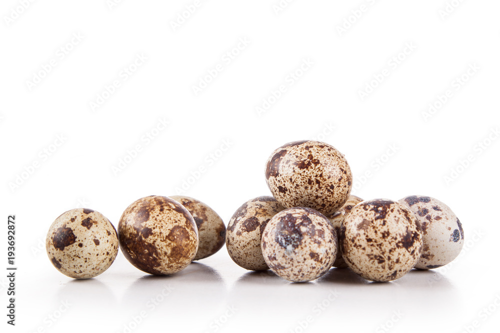 Fototapeta premium quail egg isolated on a white background