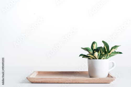 Bamboo tray with white coffee cup and yellow-green leaves