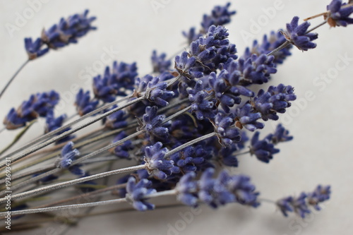 Closeup of dried purple lavender