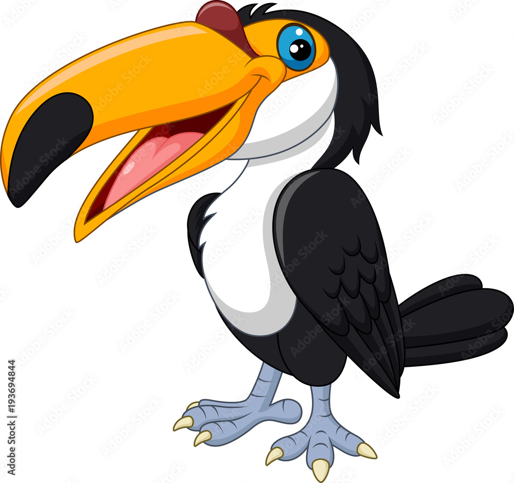 Fototapeta premium Cartoon toucan bird isolated on white background