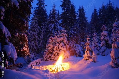 Bonfire in the winter forest illuminates the snow.