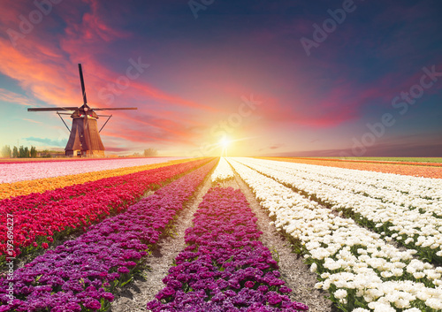 Photography The road leading to the Dutch windmills from the canal in Rotterdam