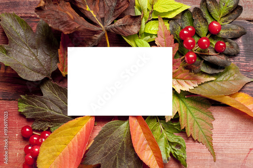 White card and autumn berry