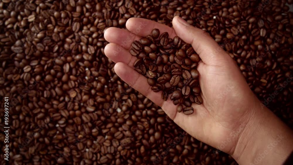 man hand hold coffee beans and then throw it down. Top view man hand hold coffee beans and then throw it down. Top view