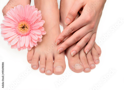 Woman pure clean hand and feet without manicure and gerbera flower isolated on white. Not polished blank natural nails. Healthy neet skin.