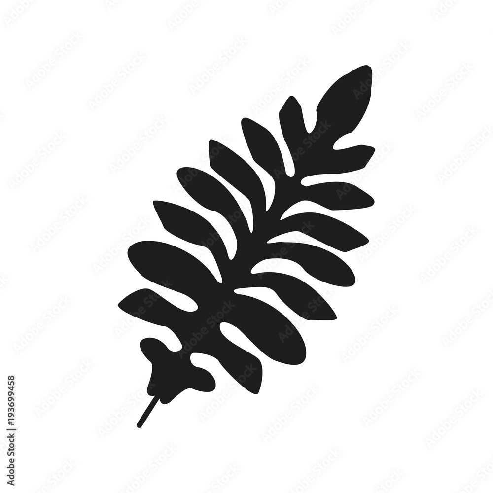 tropical palm monstera leave jungle vector illustration tropical palm monstera leave jungle vector illustration