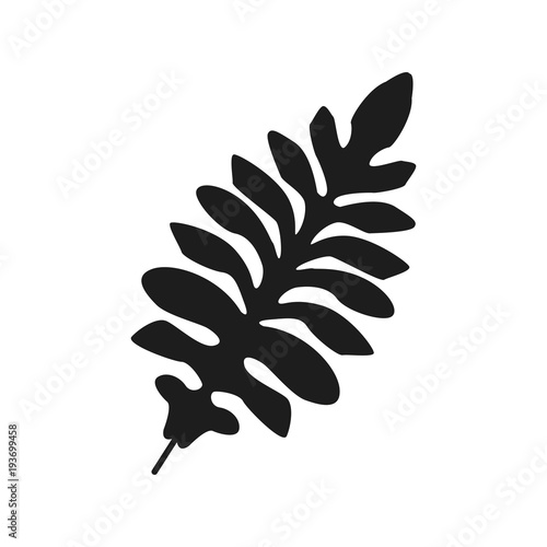 tropical palm monstera leave jungle vector illustration