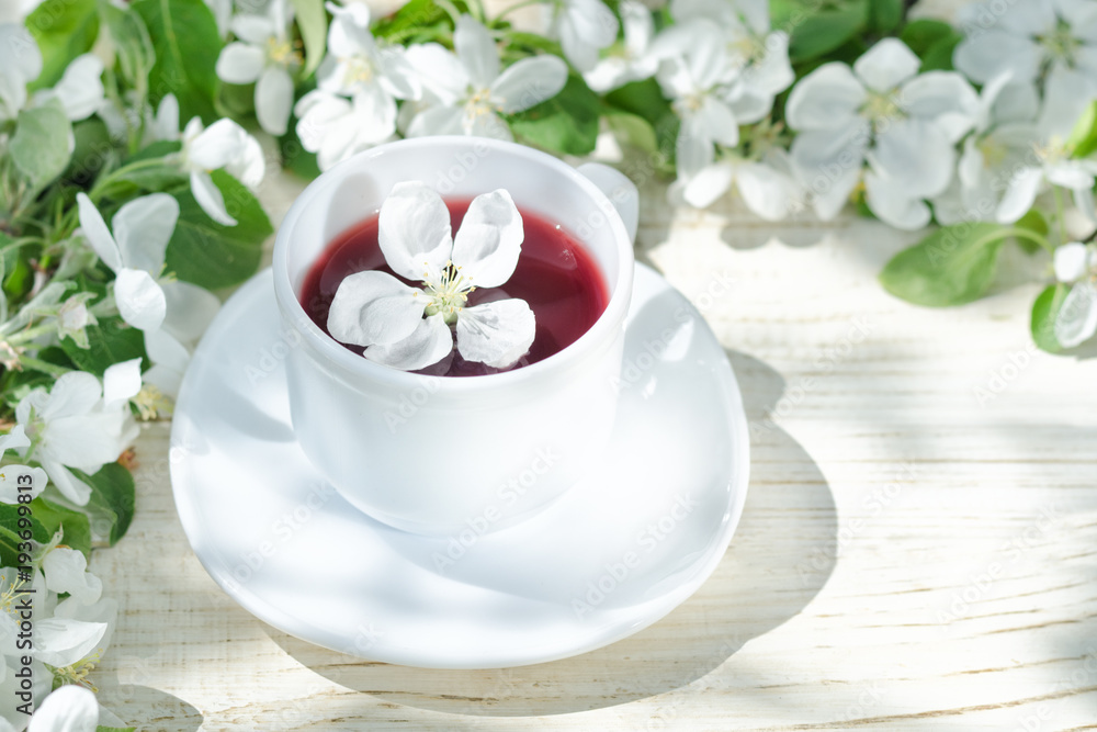Red tea with apple blossom. White background, natural light Red tea with apple blossom. White background, natural light