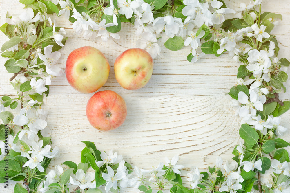 White wooden background. Ripe apples and  flowers of apple.
