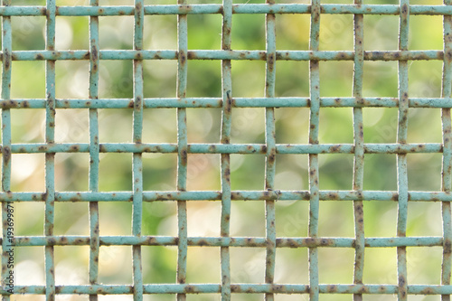 Blue rusty cage close up. Green Background