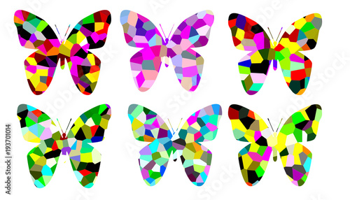 Six crystalize butterfly on white background 