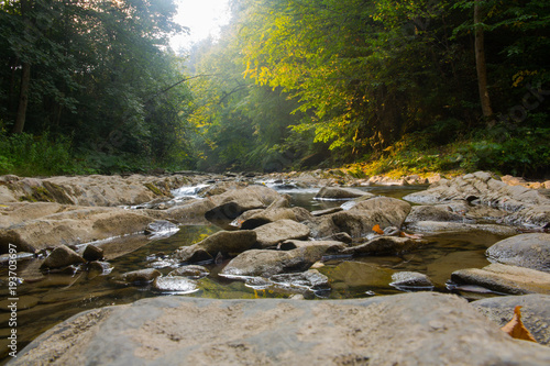 Fototapeta Naklejka Na Ścianę i Meble -  Górski stumień