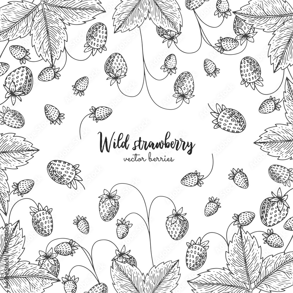 Fototapeta premium Hand drawn illustration of wild strawberry isolated on white background. Berries engraved style illustration. Detailed frame with berries. Applicable for menu, flyer, label, poster, print, packaging.