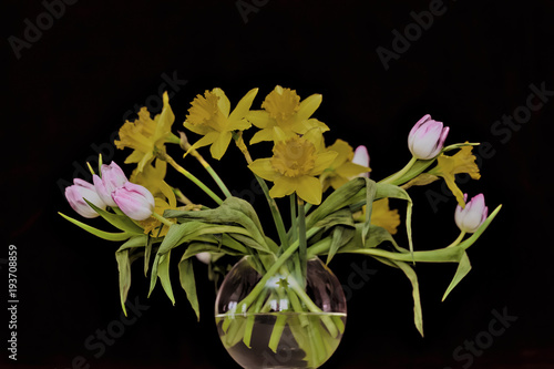 spring flowers in a vase