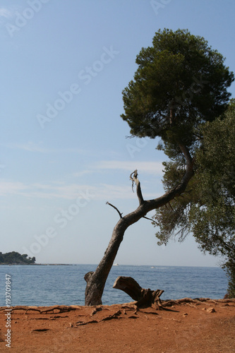 côte d'azur 6