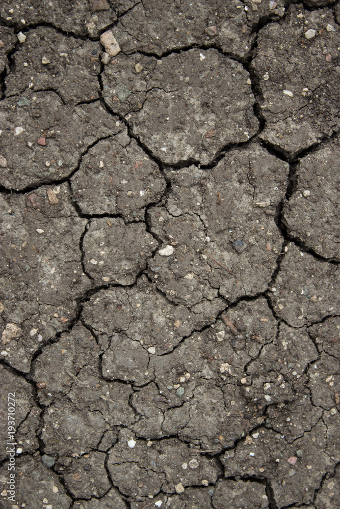 Dry сracked earth Dry сracked earth