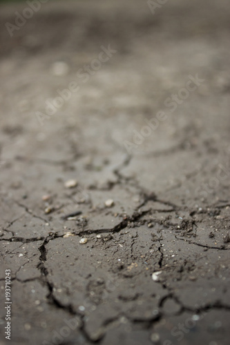 Dry сracked earth