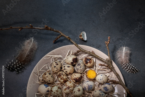 quail eggs on a plate photo