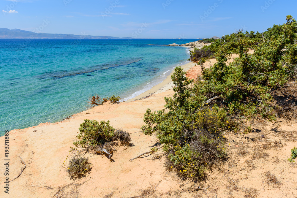 Green plants on cliff and view of sea with Aliko beach on Naxos island. Cyclades, Greece