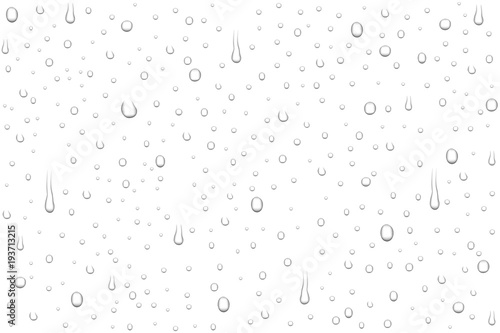 Vector realistic water drops