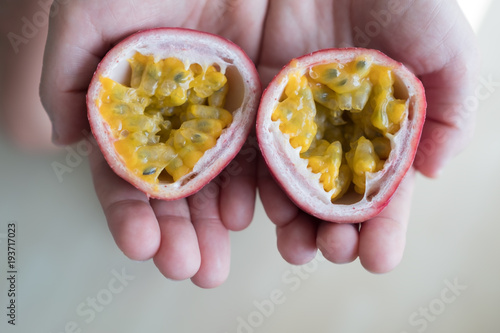 hand of caucasian woman holding juicy passion fruit photo