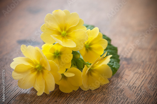 bouquet de primev  res jaune sur table en bois