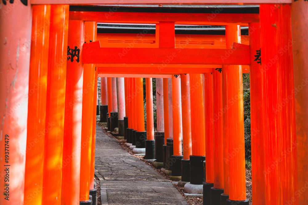 Fushimi Inari Shrine, shrine, Torii Fushimi Inari Shrine, shrine, Torii