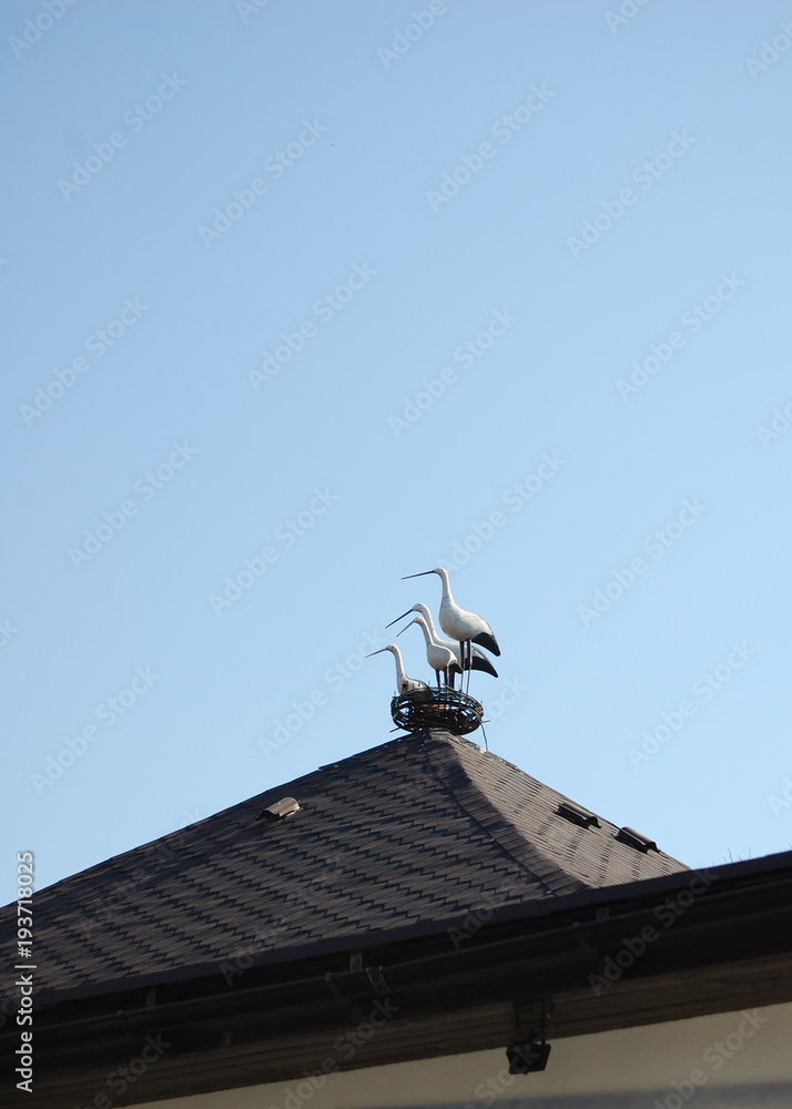 stork on the roof