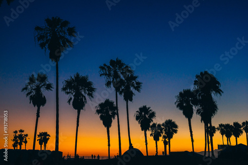 View of silhouette palm trees against blue sky during sunset photo