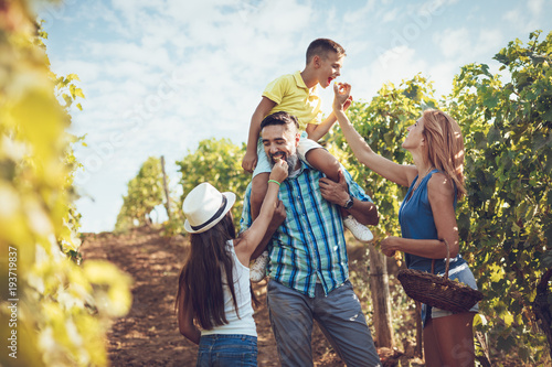Φωτογραφία Family In The Vineyard