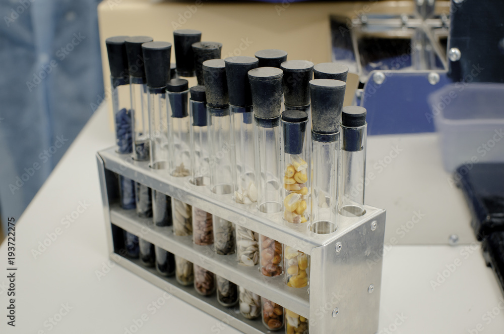 research of plants in the laboratory research of plants in the laboratory