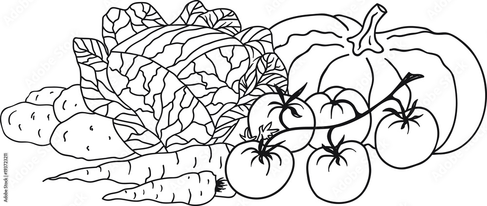 Vegetable line art sketch clipart circle composition 20620724 Vector Art at  Vecteezy