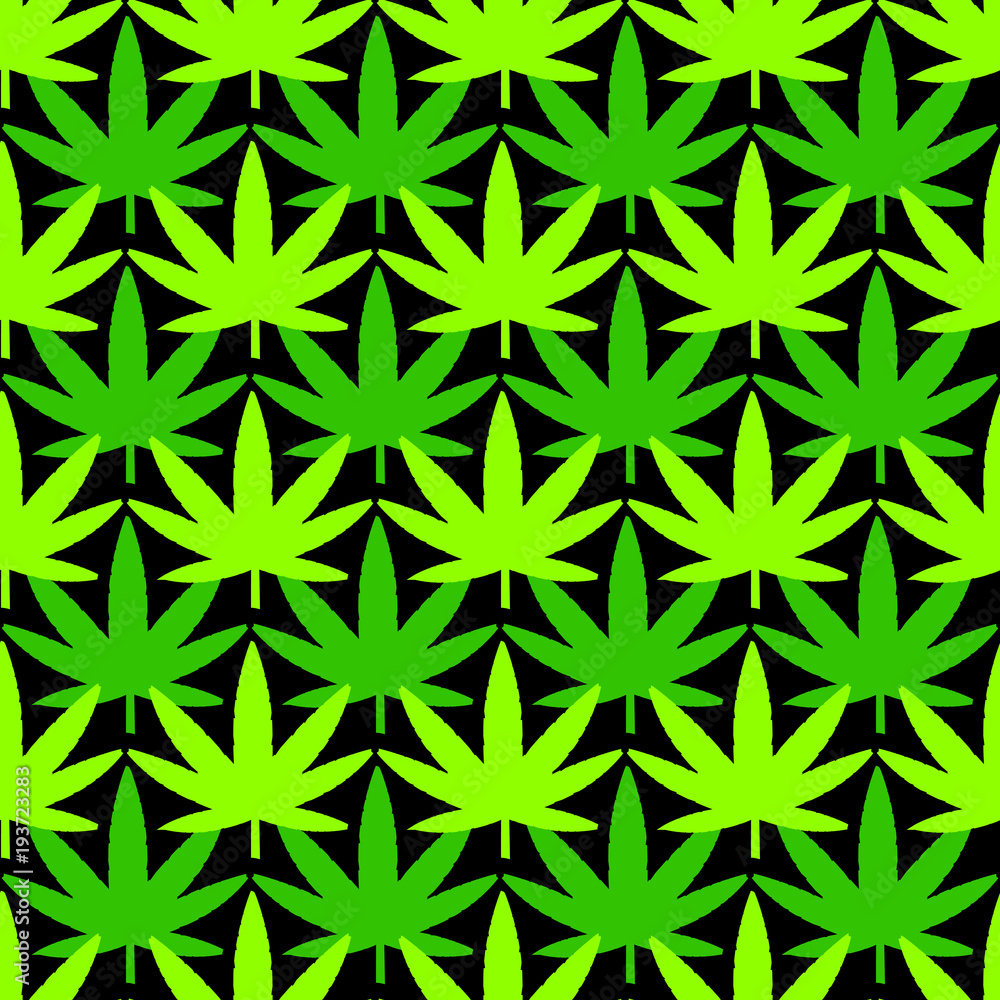 Cannabis leaves on green background Cannabis leaves on green background
