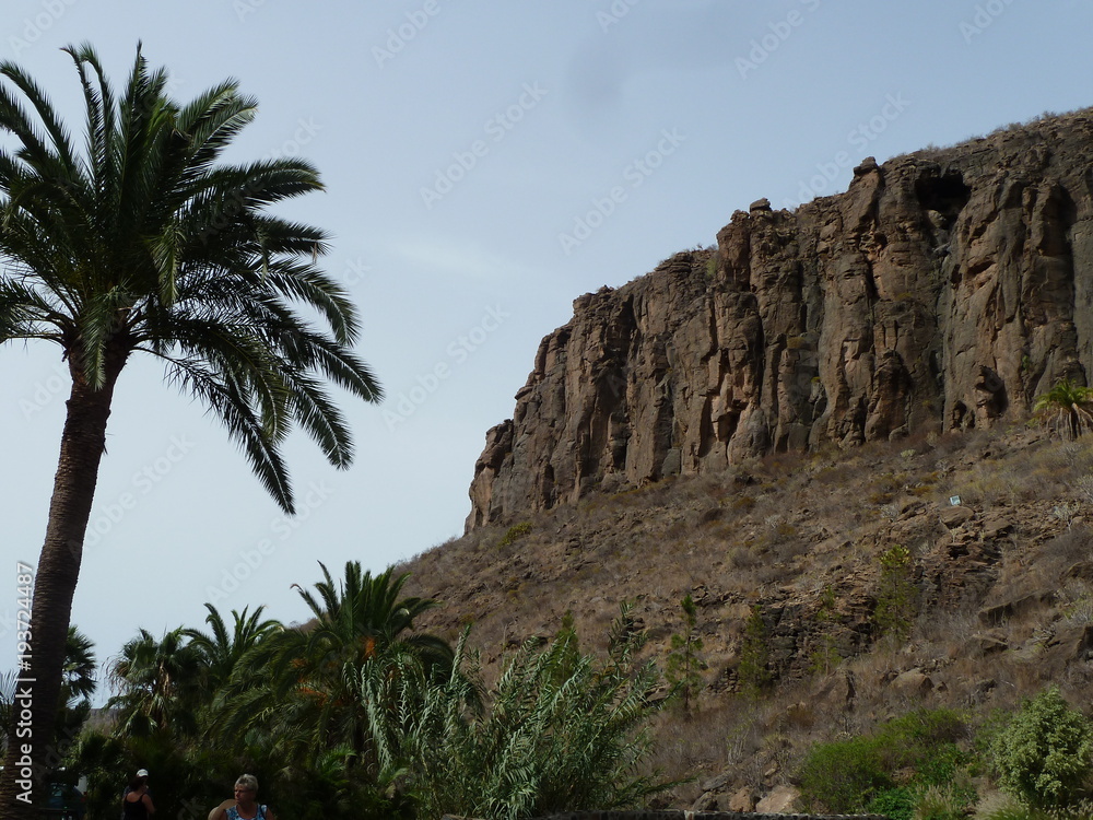 Beautiful view palm trees and mountain valleys in summer, Canary Islands, Spain