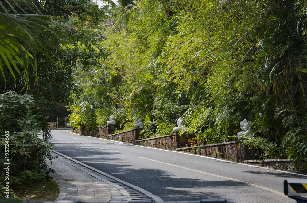 Obraz premium road on a tropical island